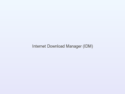 Internet Download Manager (IDM)