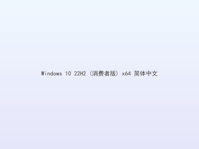 Windows 10 22H2 (消费者版) x64 简体中文