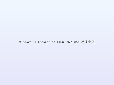 Windows 11 Enterprise LTSC 2024 x64 简体中文