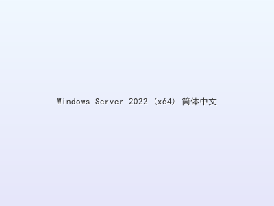Windows Server 2022 (x64) 简体中文