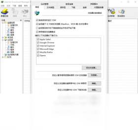 Internet Download Manager